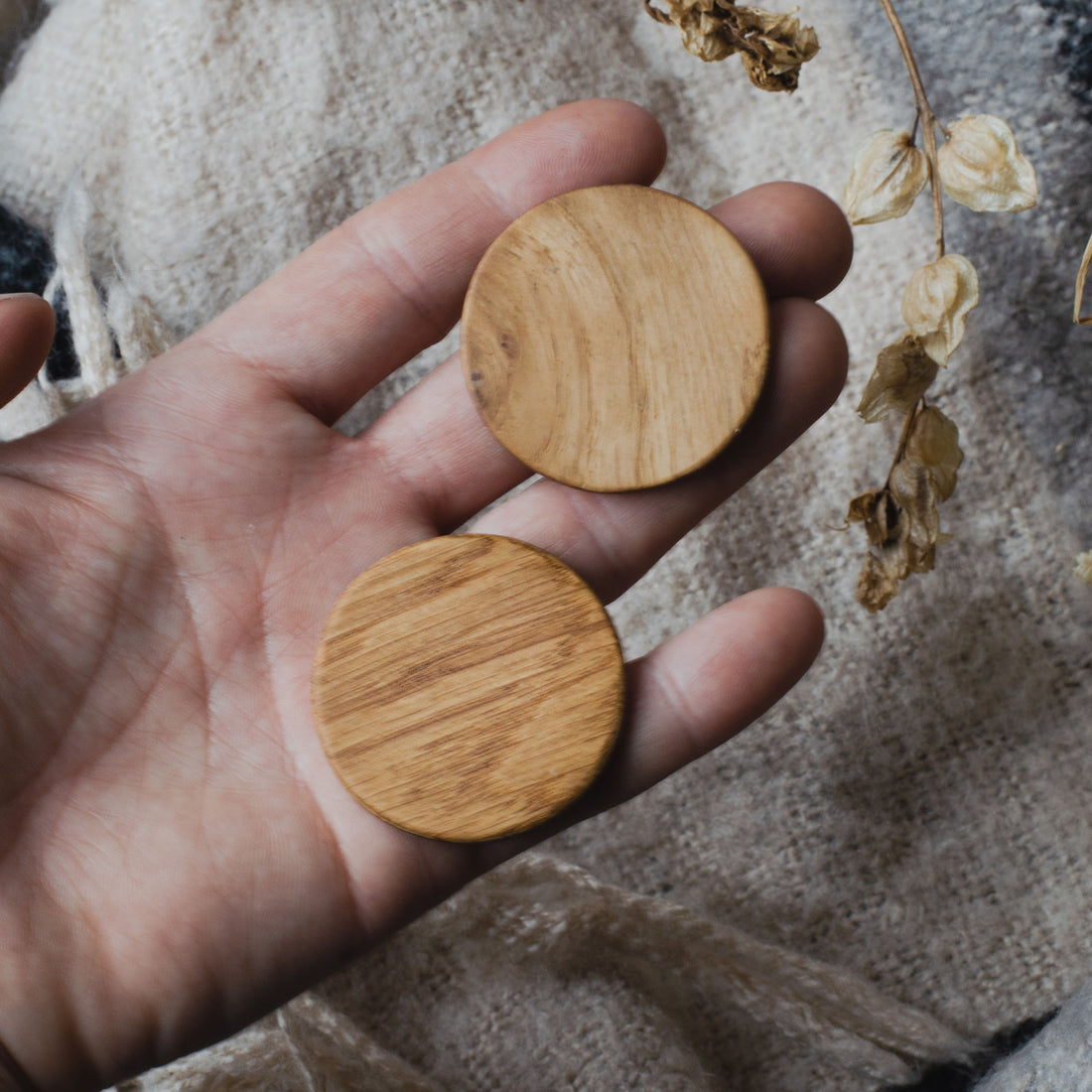 Oak Wood Circle stud earrings