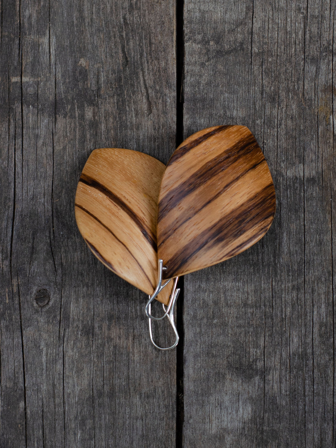 "Leaf". Large Zebrawood earrings