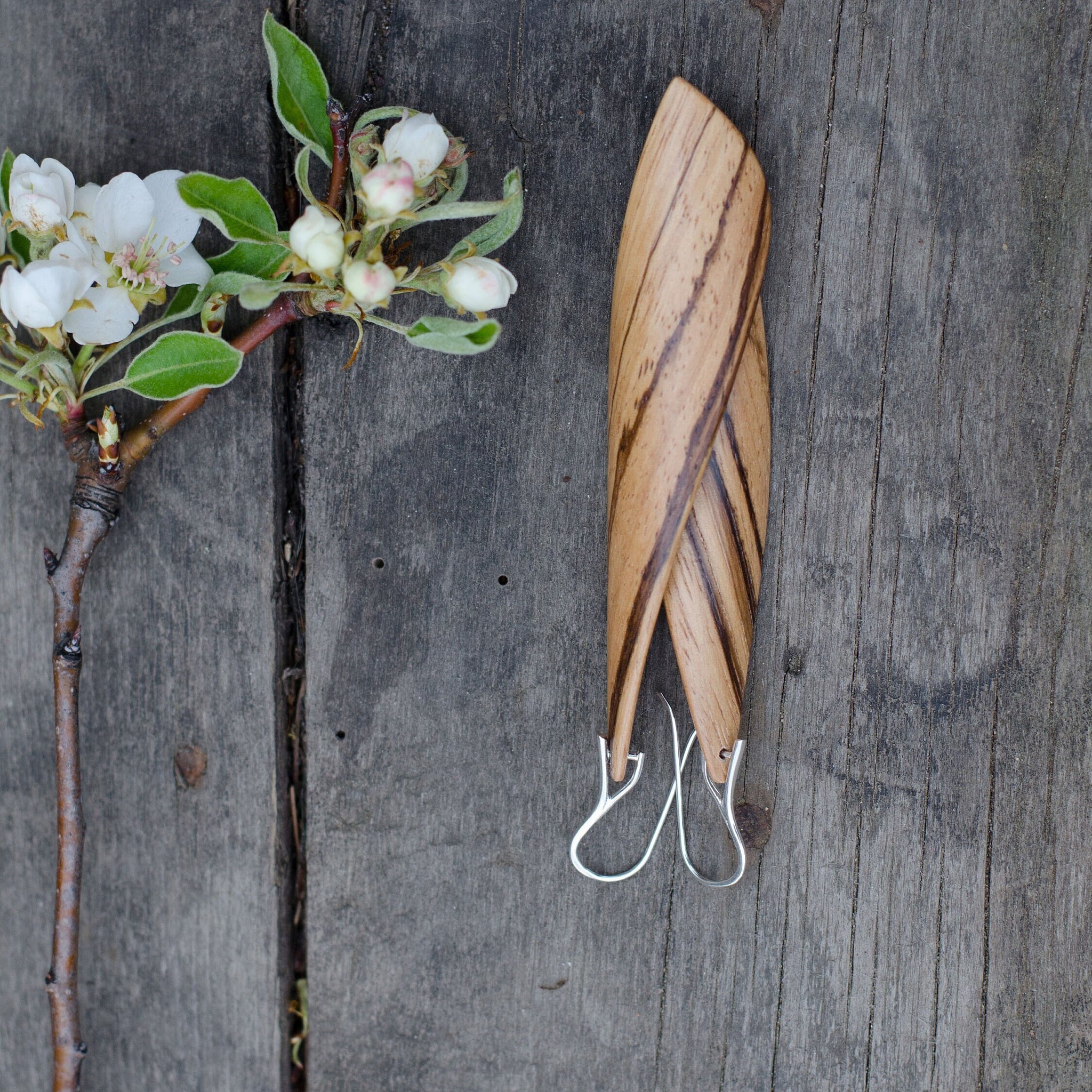 Earrings "Twist" Natural Zebrawood
